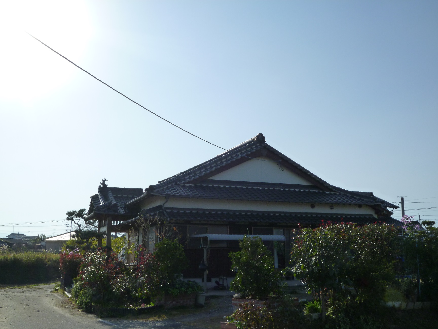 荒尾市：牛水