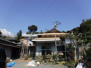 表部分：瓦剥ぎ+野地板